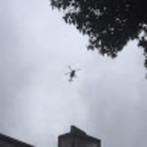 Meet your Posher, Ernest